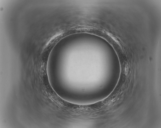 X0000087391351200704201232