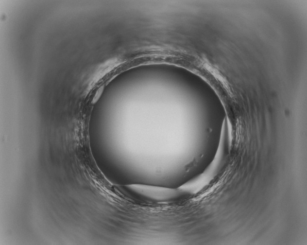 X0000087391352200704201232