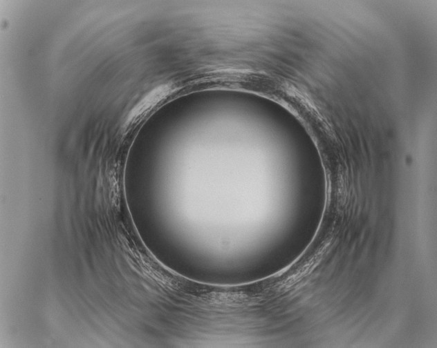 X0000087391354200704201232