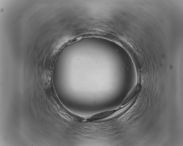 X0000087391355200704201232