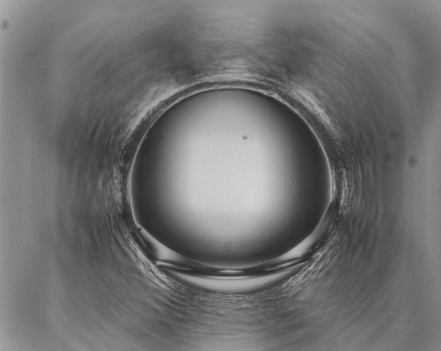 X0000087391356200704201232