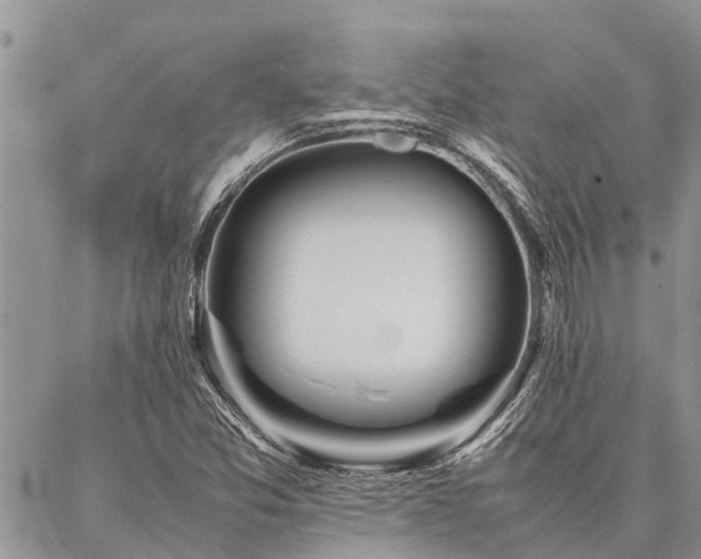 X0000087391357200704201232