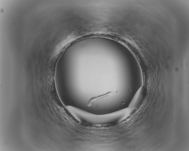 X0000087391359200704201232