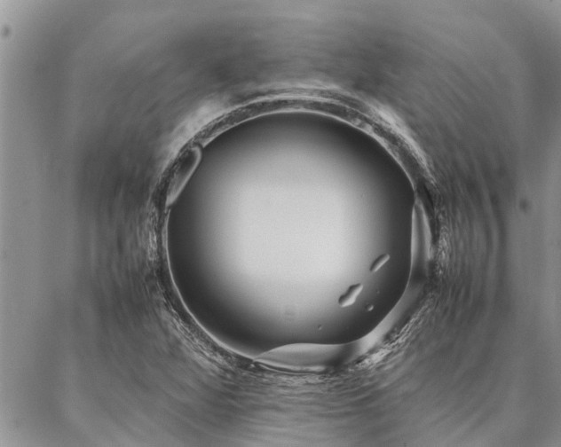 X0000087391360200704201232