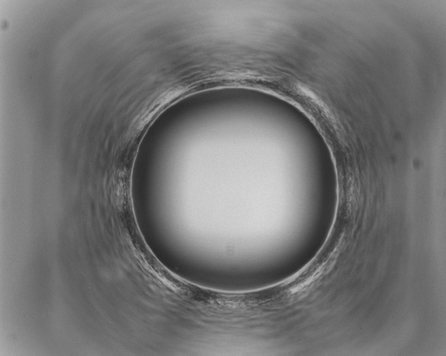 X0000087391361200704201232