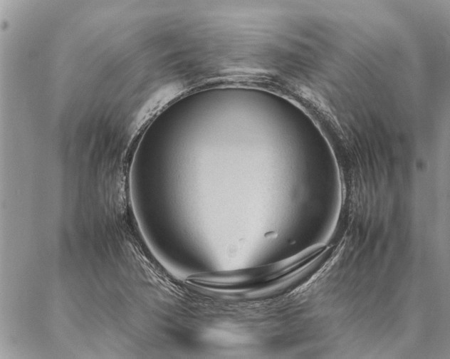 X0000087391362200704201232