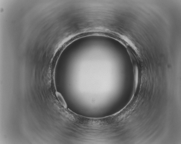 X0000087391364200704201232