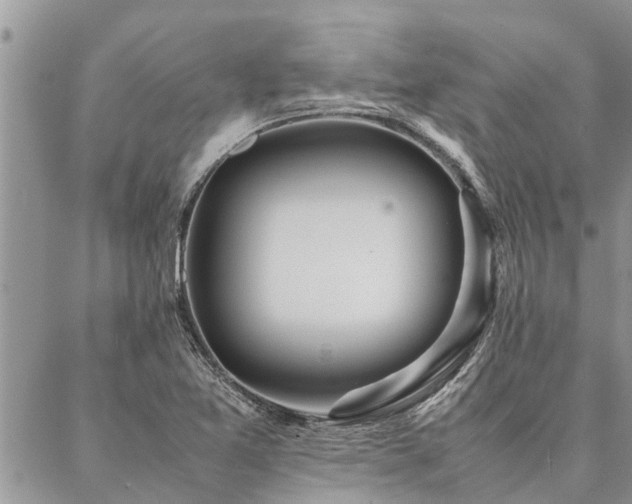 X0000087391365200704201232