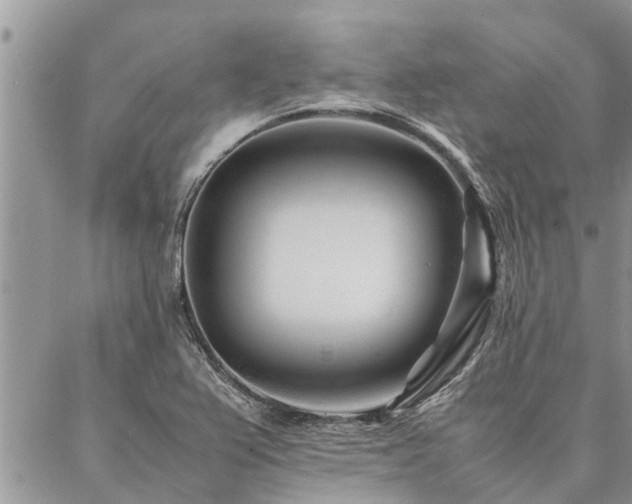 X0000087391367200704201231