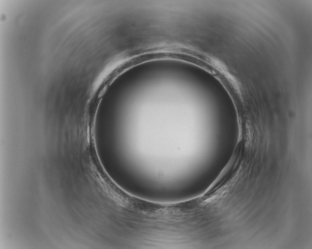 X0000087391368200704201231