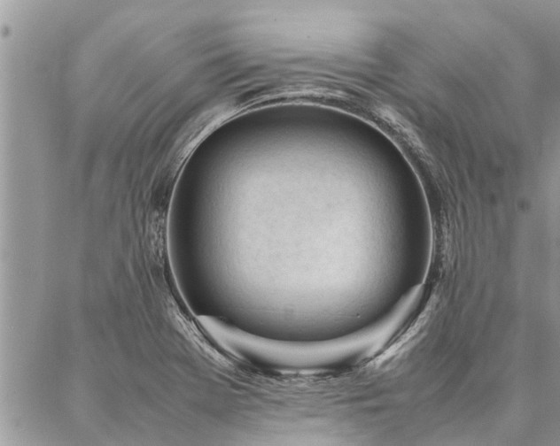 X0000087391369200704201231