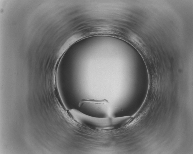 X0000087391370200704201231