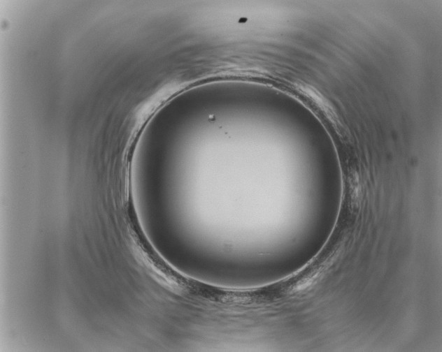 X0000087391371200704201231