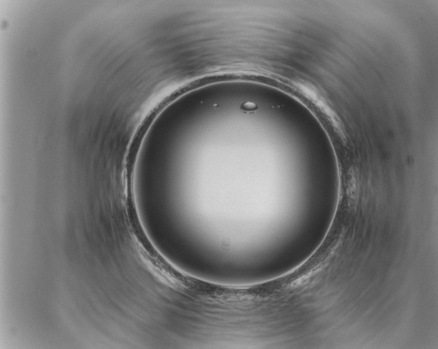 X0000087391372200704201231