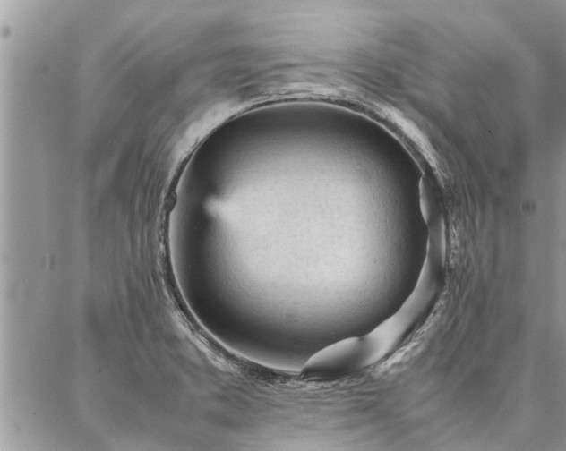 X0000087391373200704201231