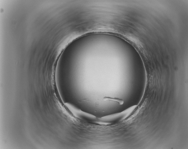 X0000087391374200704201231