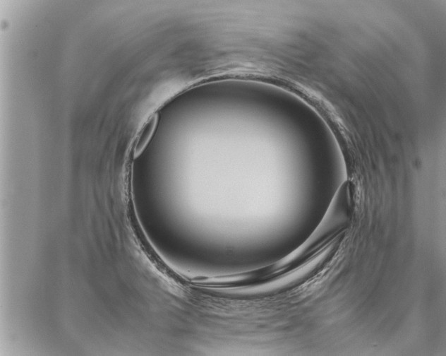 X0000087391375200704201231