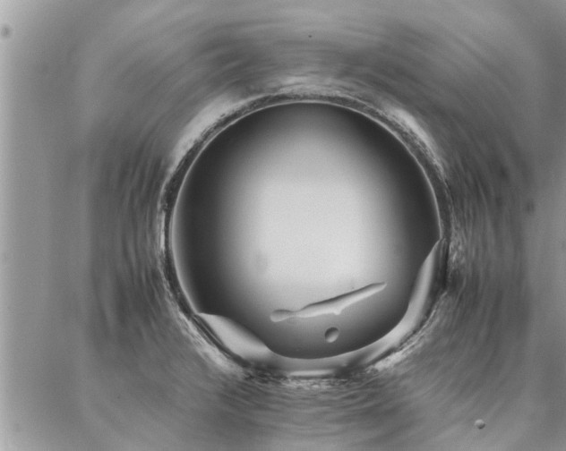 X0000087391376200704201231