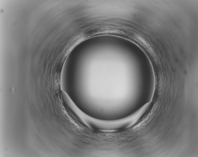 X0000087391377200704201231