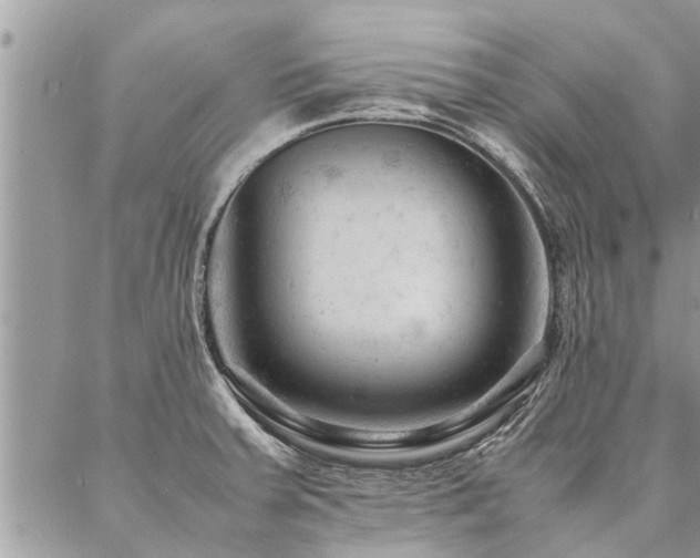 X0000087391379200704201231