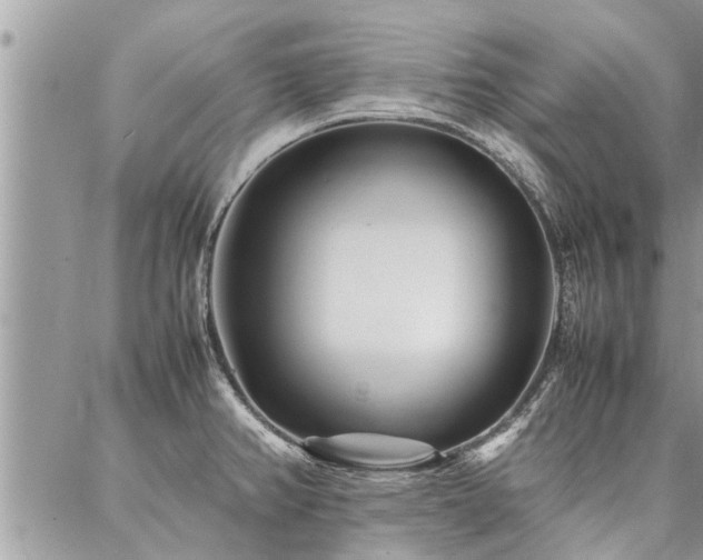 X0000087391382200704201231