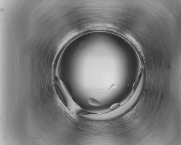 X0000087391384200704201231