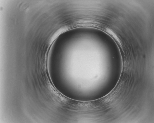 X0000087391386200704201231