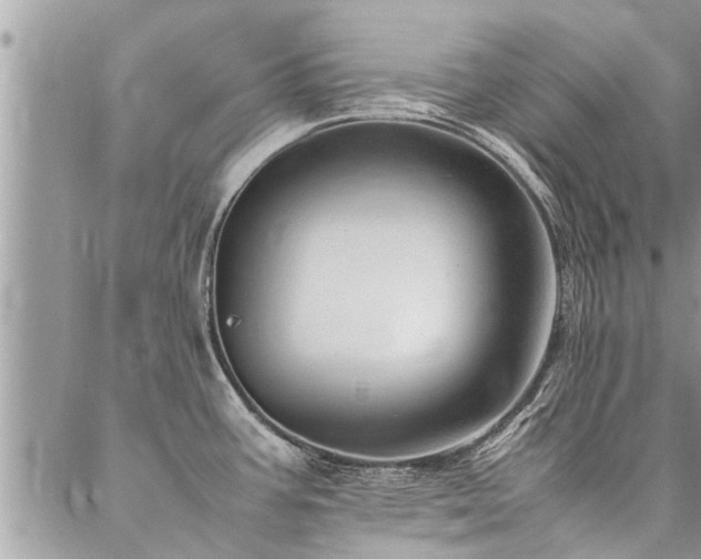 X0000087391387200704201231