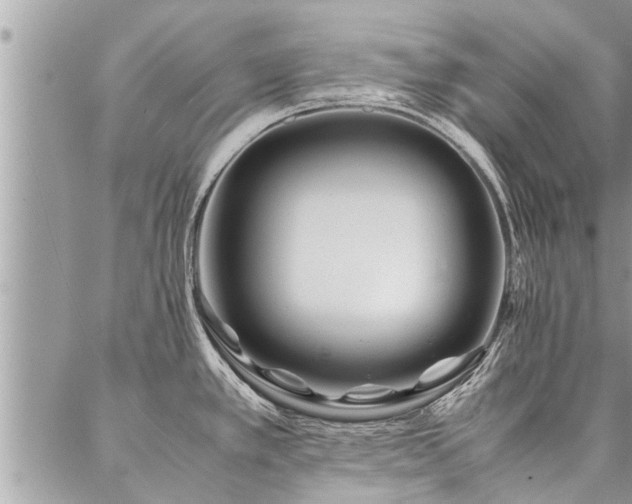 X0000087391389200704201231