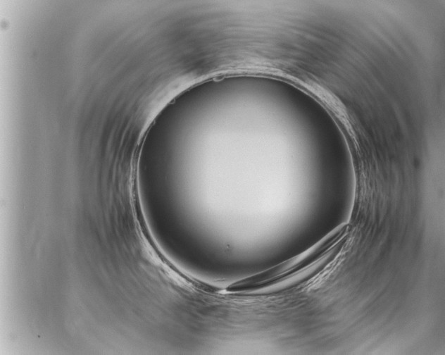 X0000087391390200704201231