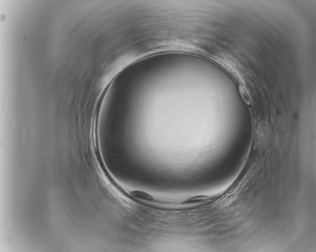 X0000087391391200704201231