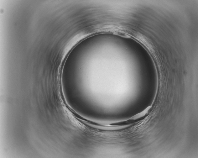 X0000087391392200704201231