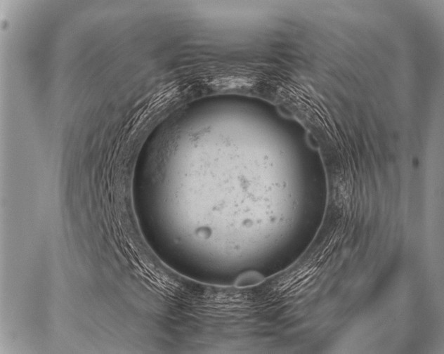 X0000087391393200704201230