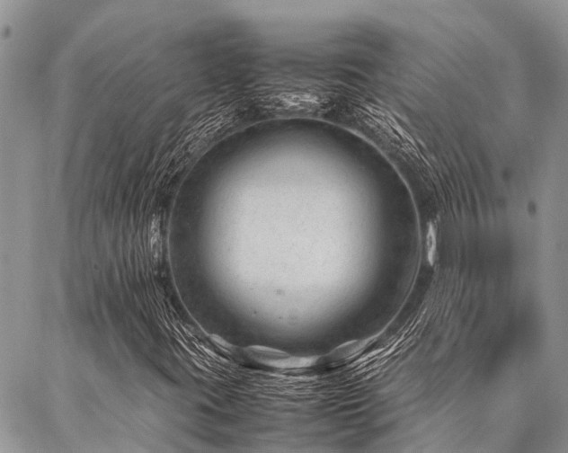 X0000087391395200704201230