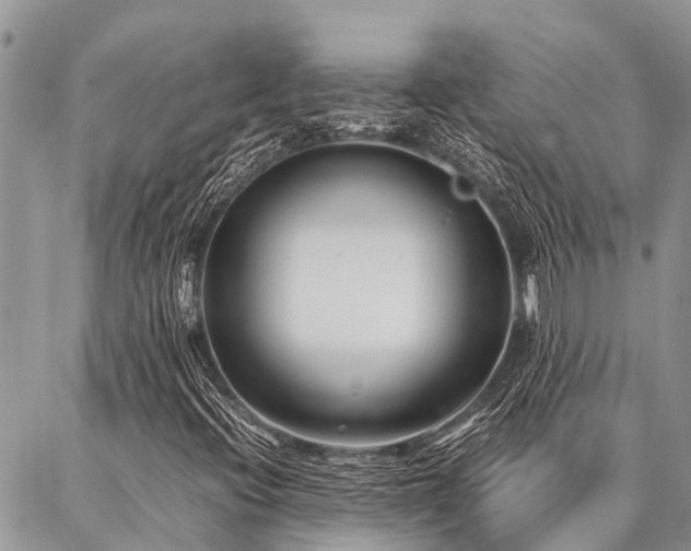 X0000087391396200704201230