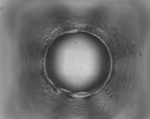 X0000087391397200704201230