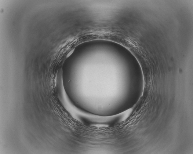 X0000087391398200704201230