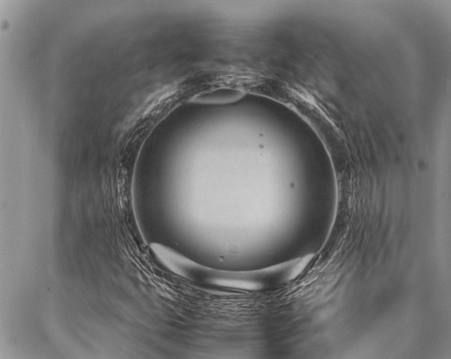 X0000087391399200704201230