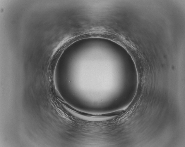 X0000087391400200704201230