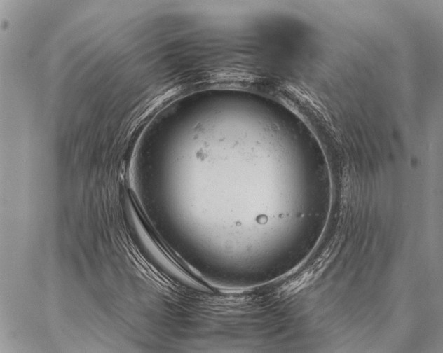 X0000087391401200704201230