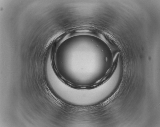 X0000087391402200704201230