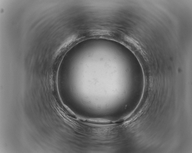 X0000087391403200704201230