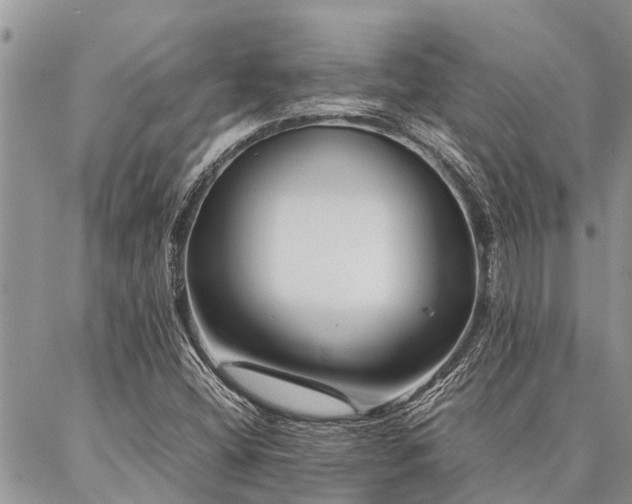 X0000087391404200704201230