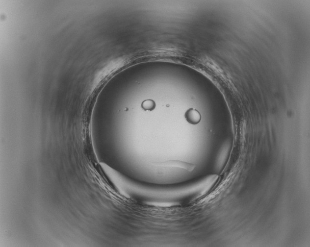 X0000087391405200704201230