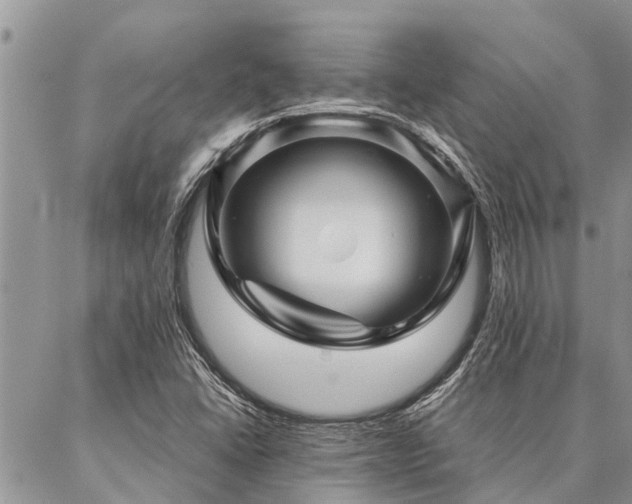 X0000087391406200704201230