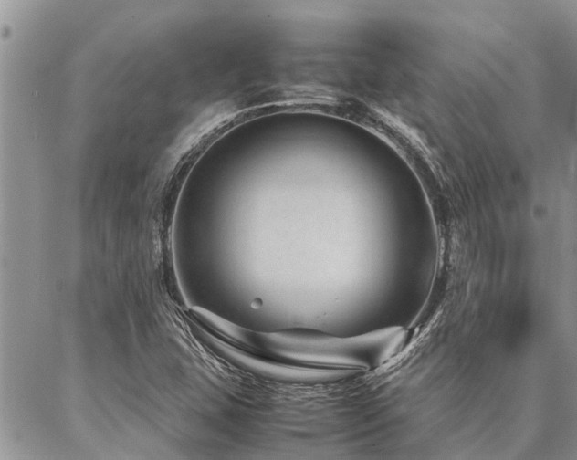 X0000087391407200704201231