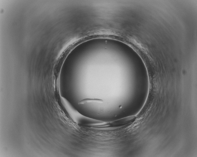 X0000087391408200704201231