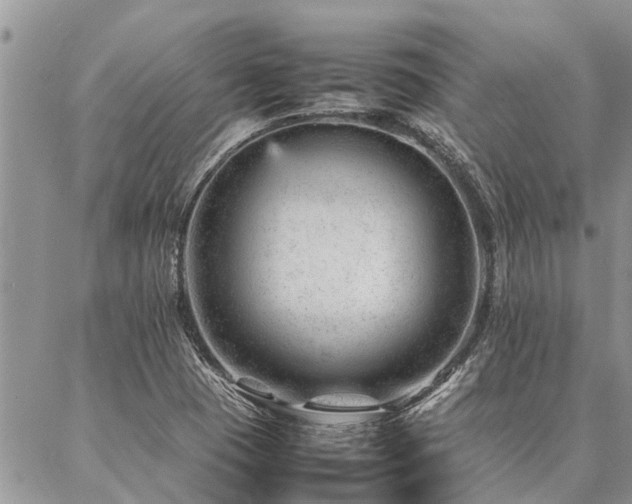 X0000087391409200704201231