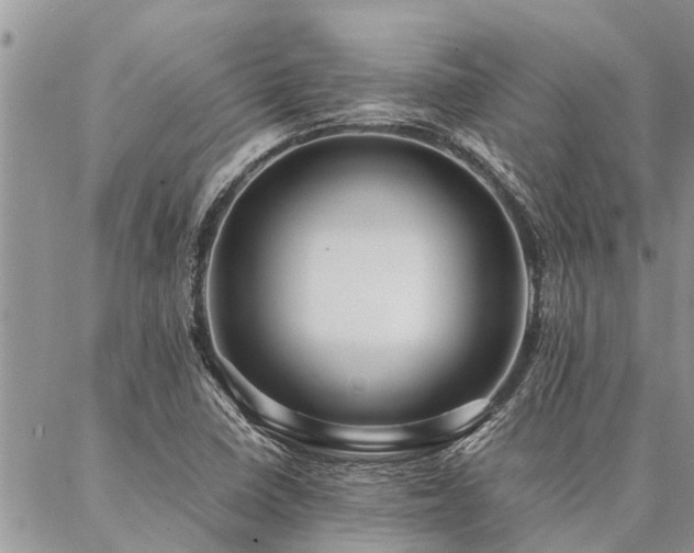 X0000087391410200704201231