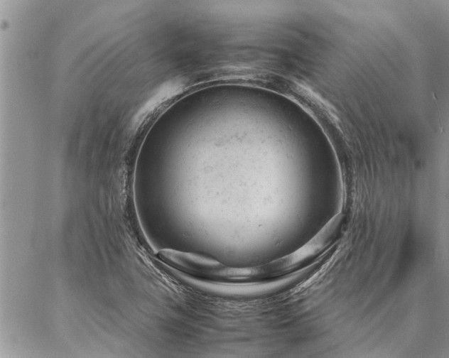 X0000087391411200704201231